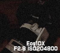 EOS-1DXにて暗視撮影